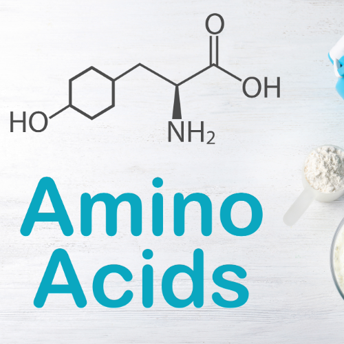 Amino Acids BCAA